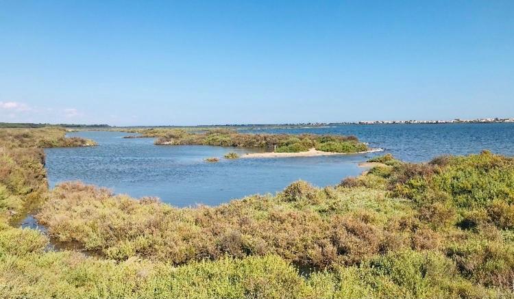 Le Nautica Plage T2 Climatise En Bord De Mer Frontignan Εξωτερικό φωτογραφία