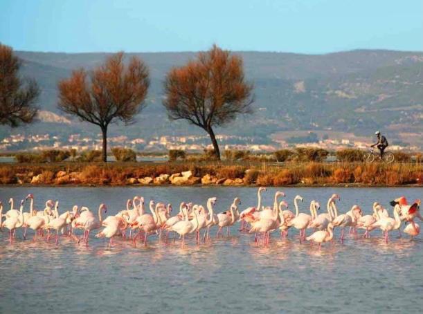 Le Nautica Plage T2 Climatise En Bord De Mer Frontignan Εξωτερικό φωτογραφία