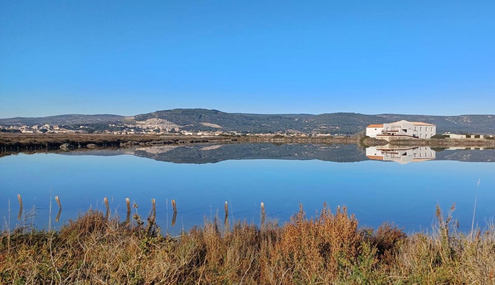 Le Nautica Plage T2 Climatise En Bord De Mer Frontignan Εξωτερικό φωτογραφία